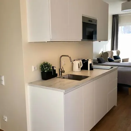 Lovely Aisa Apartment | 2 Terraces Pärnu Extérieur photo