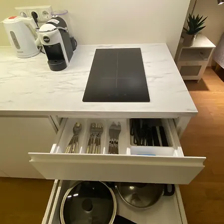 Lovely Aisa Apartment | 2 Terraces Pärnu Extérieur photo